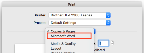 Selecting Microsoft Word options from the Print dialog box
