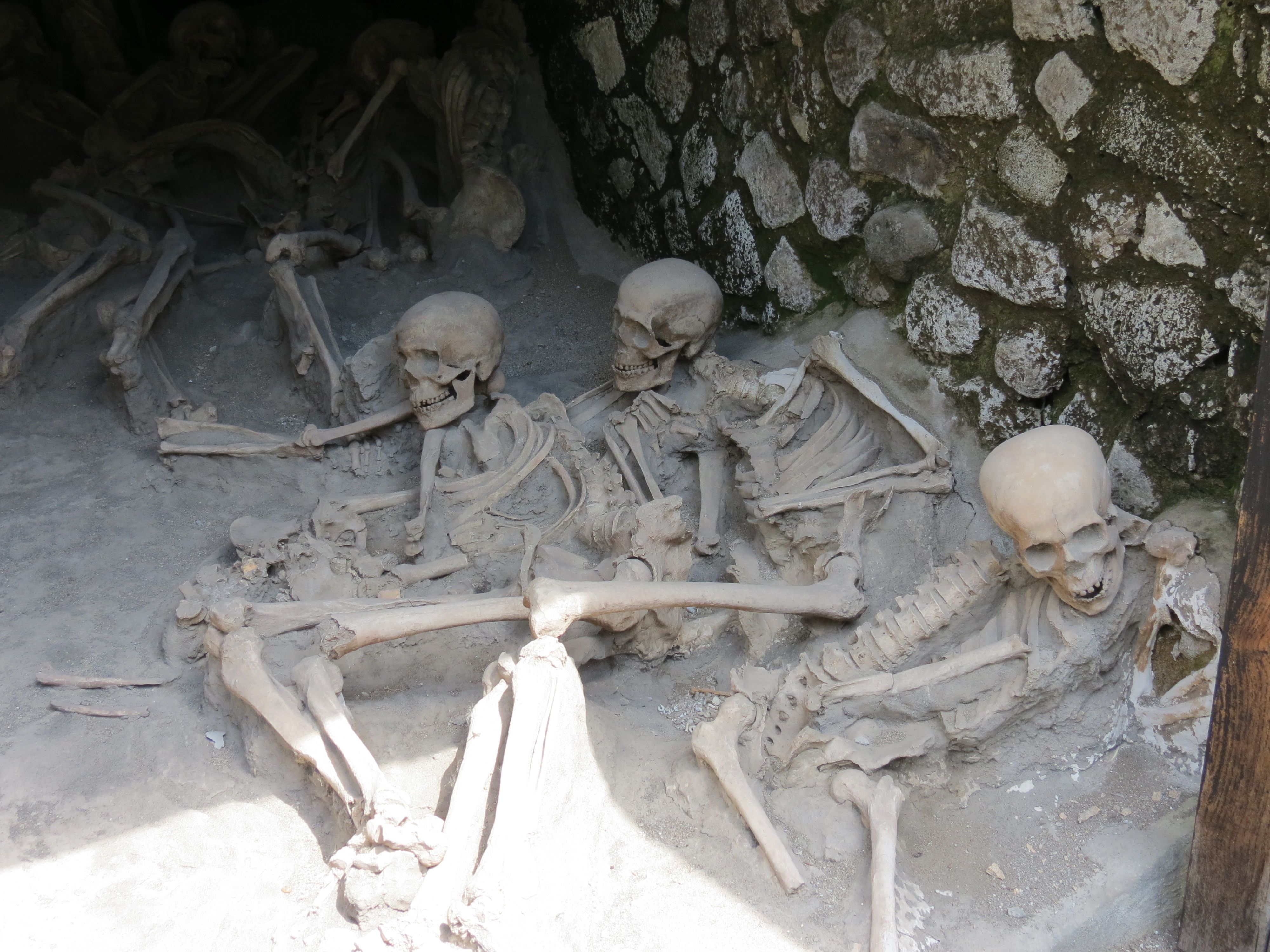 A few of the dead from Herculaneum