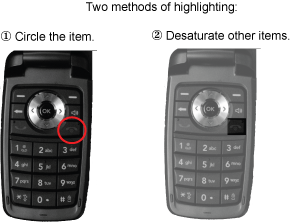 Emphasizing parts of a graphic by circling the item or reducing the intensity of non-relevant parts of the image