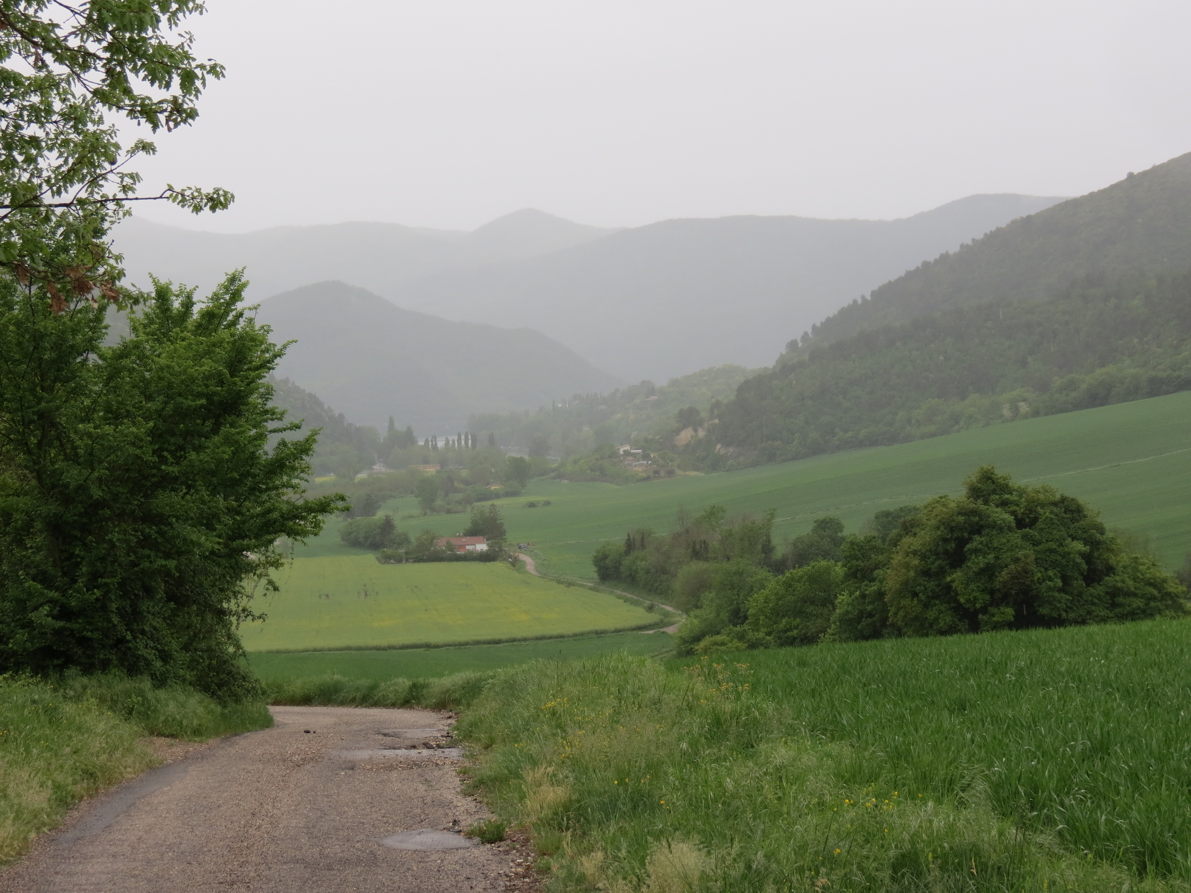 Piediluca valley