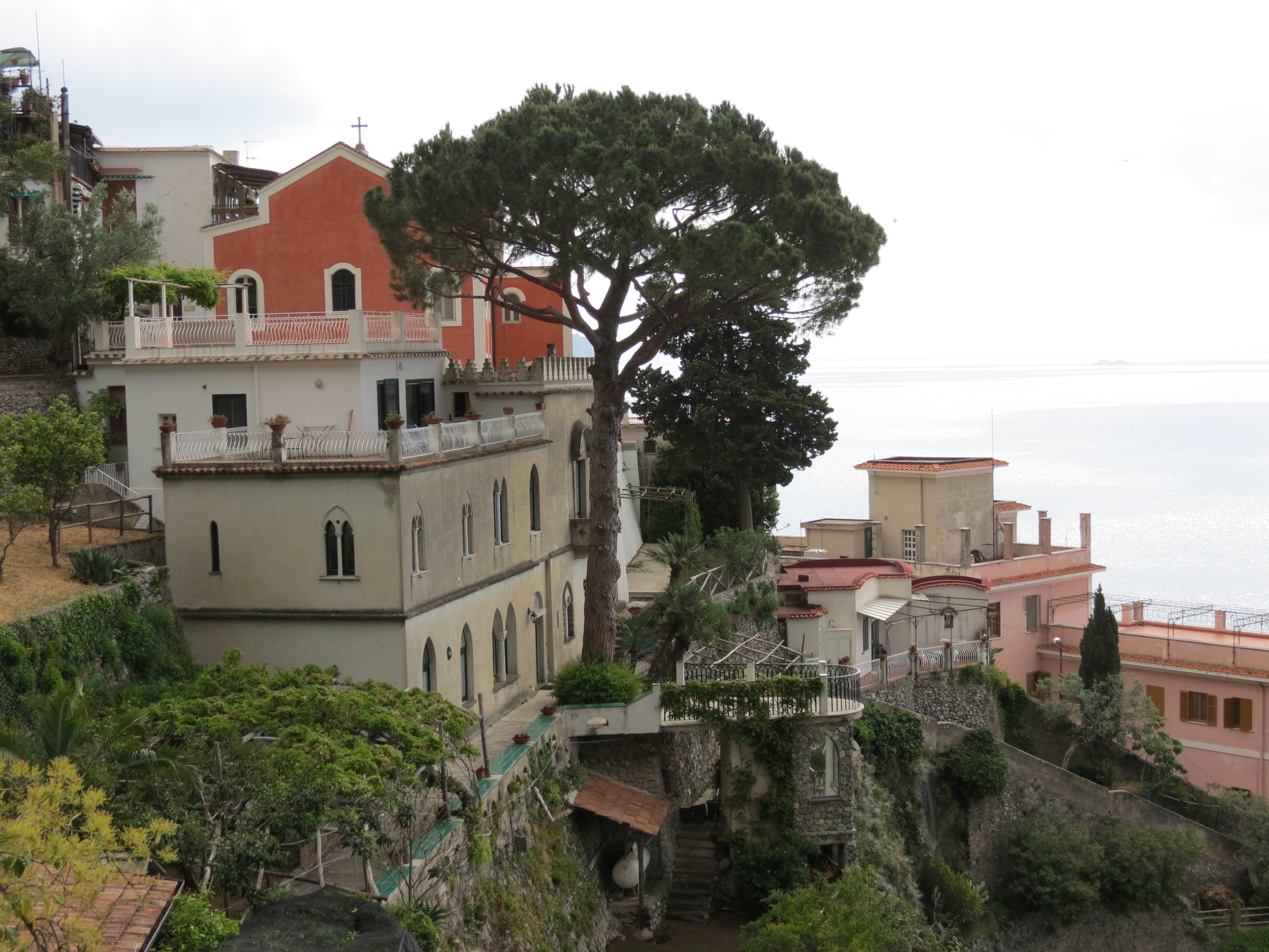 Mediterranean pine from the stairs