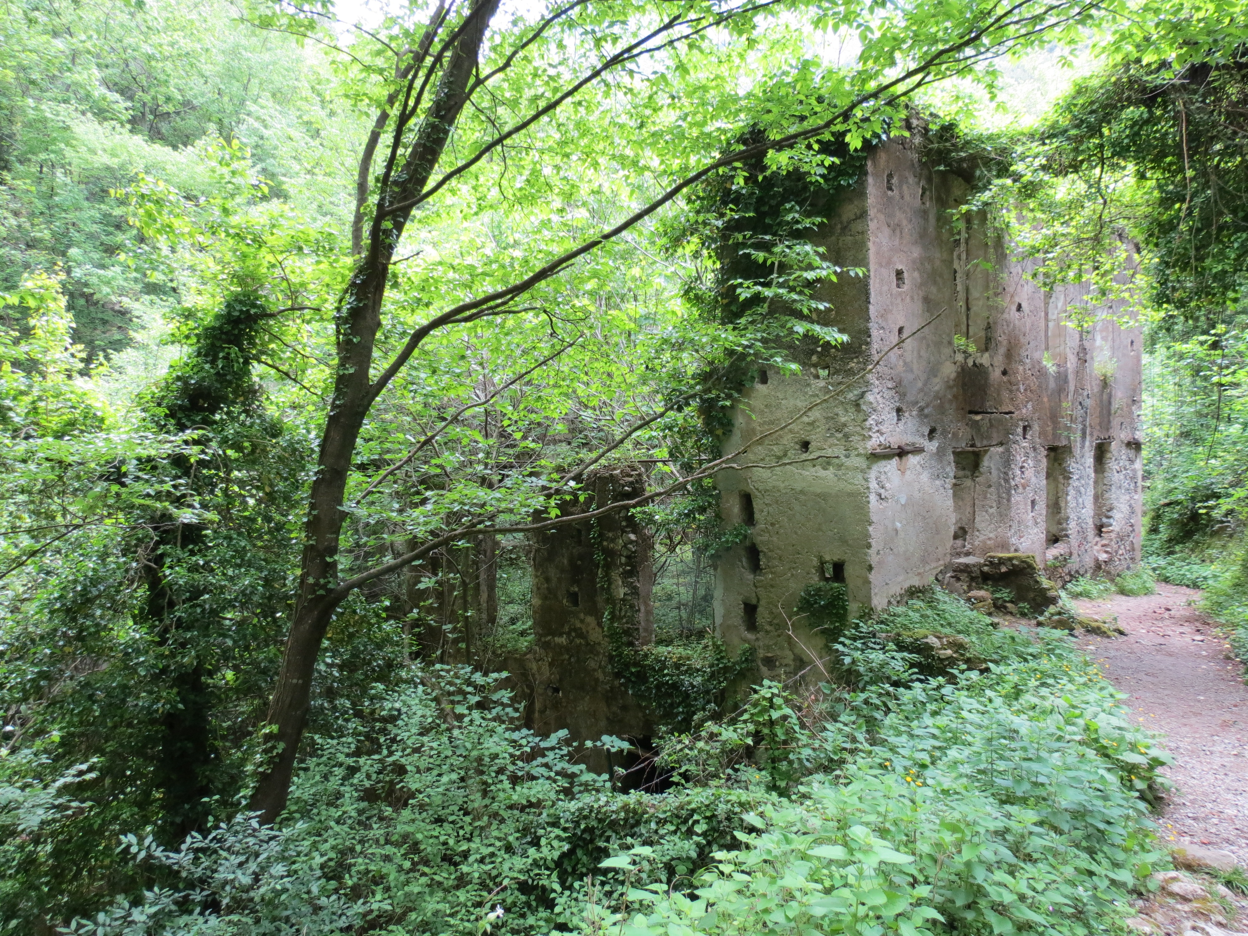 Ruined mill